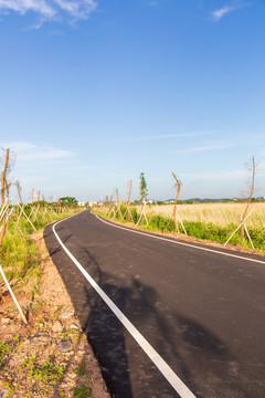 茅尾海红树林自然保护区海上公路