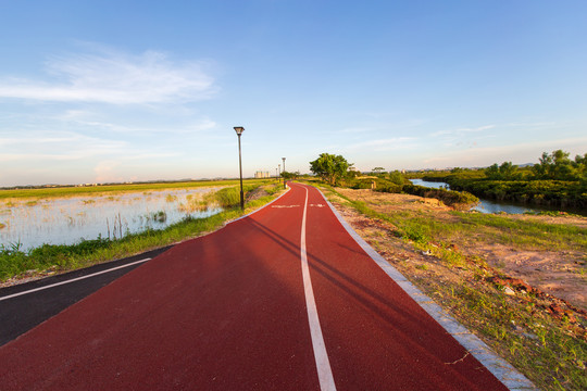 茅尾海红树林自然保护区海上公路