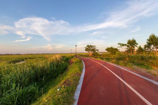 茅尾海红树林自然保护区海上公路