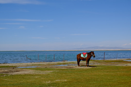 青海湖