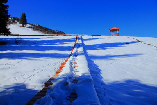 松林雪景