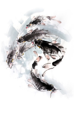 錦鯉