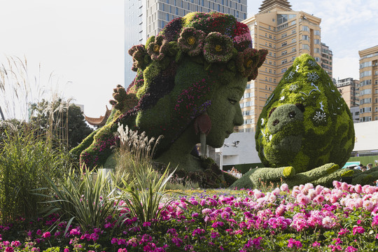 昆明花卉造型立体花坛城市景观