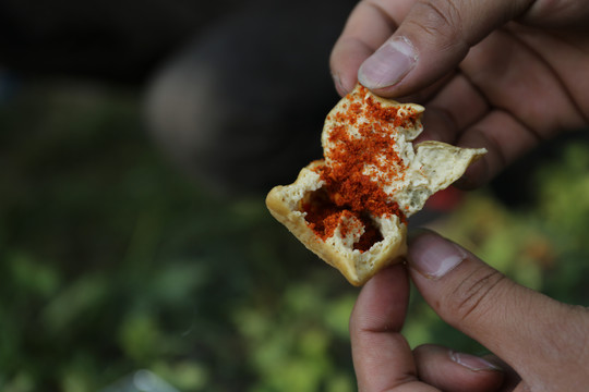 美食手撕豆腐大方臭豆腐