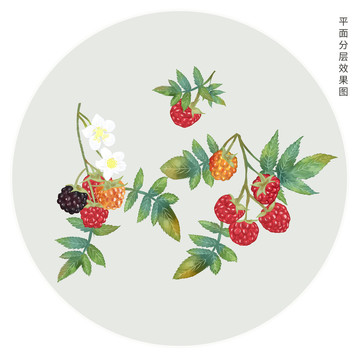 手繪覆盆子