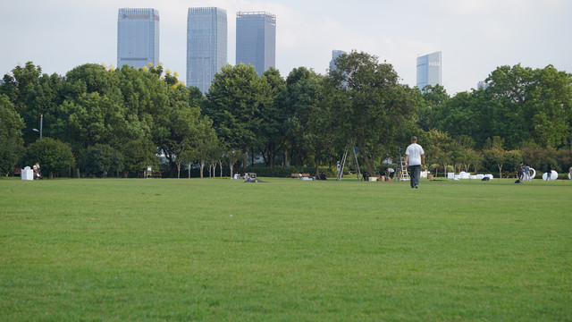 城市草坪