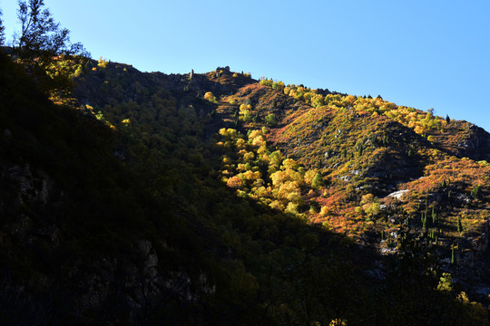 高山风景