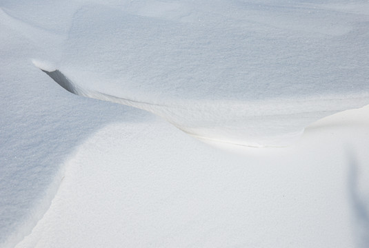 雪地