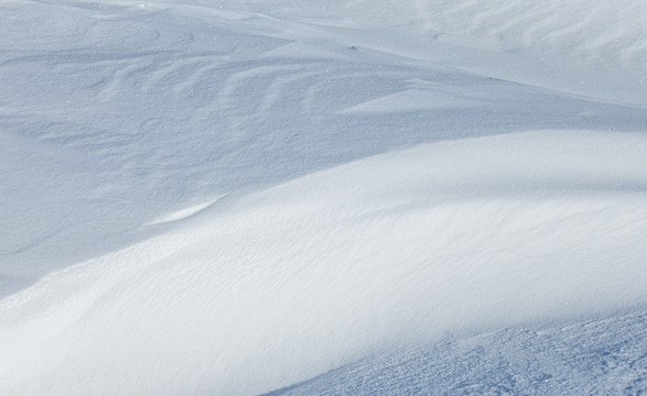 雪地