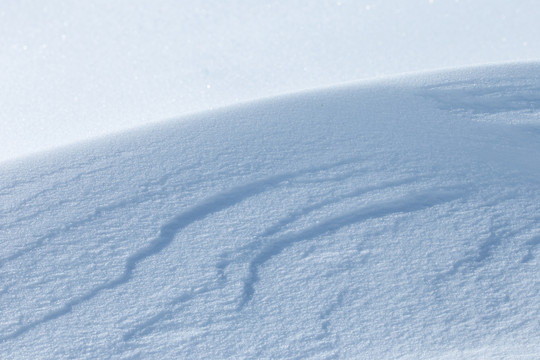 雪地