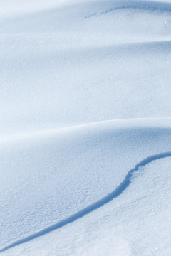 雪地