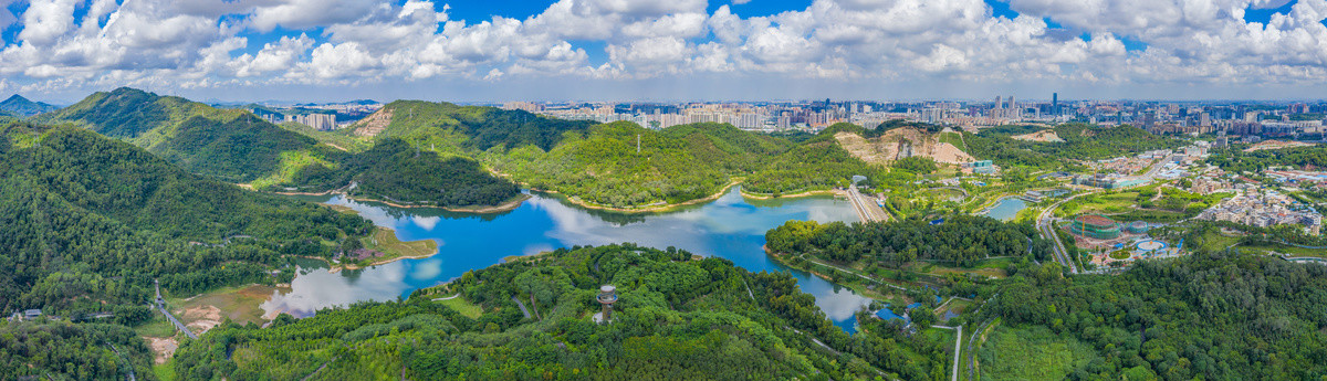 金钟湖公园全景