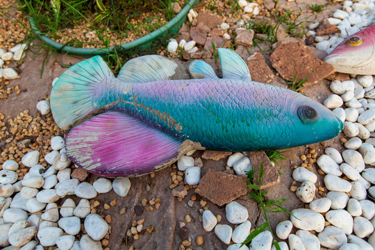 钦州滨海浴场海红树湾海鱼雕塑