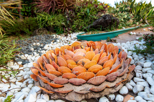 钦州滨海浴场海红树湾莲花造型