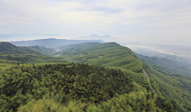 宜宾蜀南竹海山脉晨雾自然风光