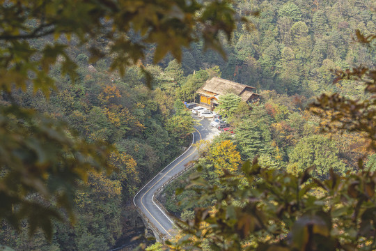 蜿蜒道路路与秋色