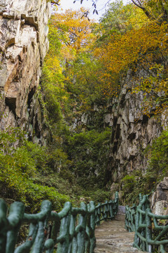 彝良小草坝峡谷峭壁步道