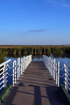 大庆湿地