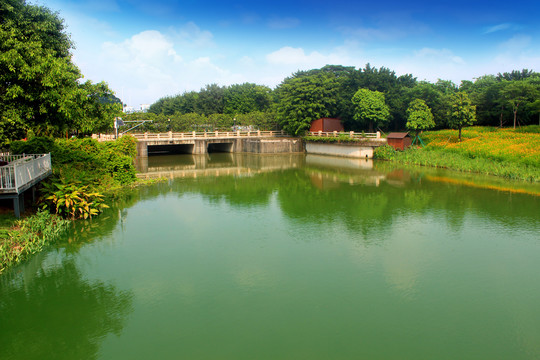 湖边景色