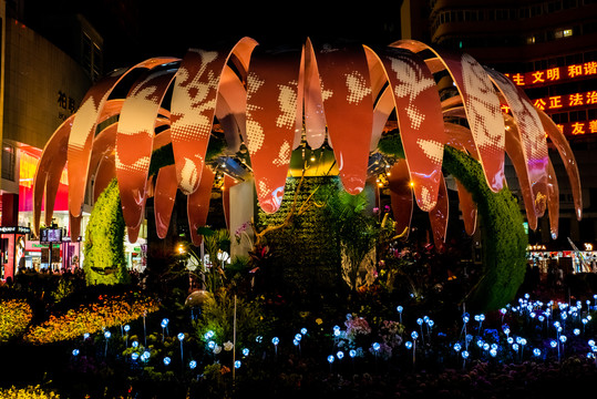 立体花坛夜景