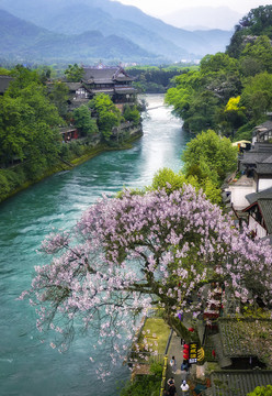 江水春花