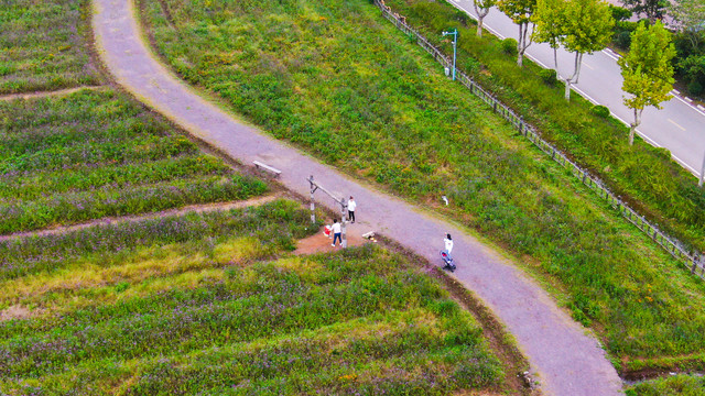 乡村旅游