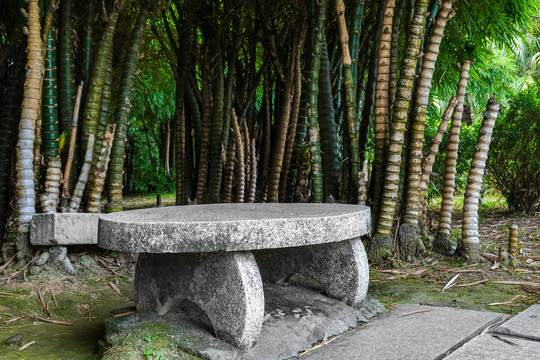 竹林石桌