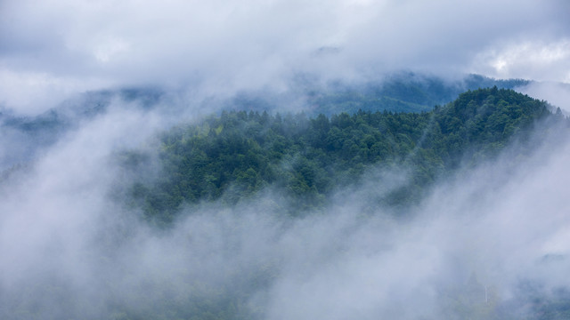 云雾山