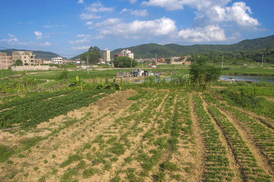 良田沃土好土地