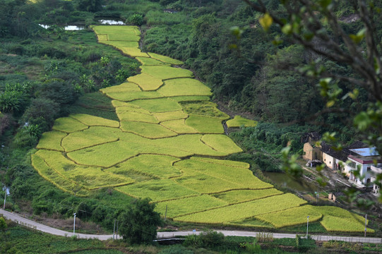 丰顺马图村