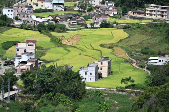 丰顺马图村