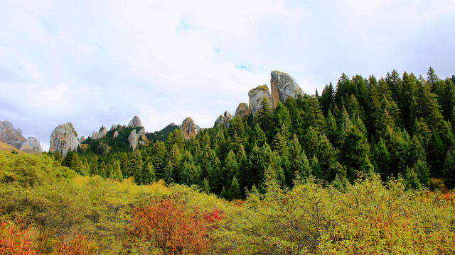 碌曲县则岔石林旅游景区