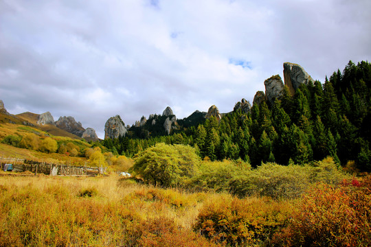 碌曲县则岔石林旅游景区