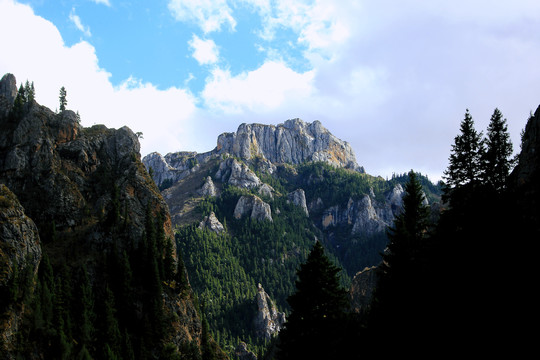 碌曲县则岔石林旅游景区