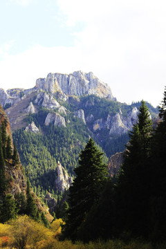 碌曲县则岔石林旅游景区