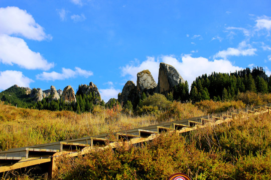 碌曲县则岔石林旅游景区