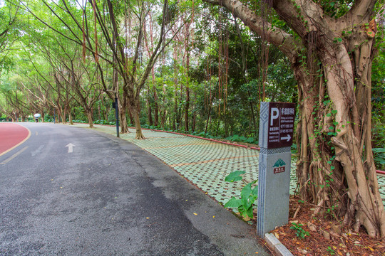 南宁青秀山风景停车场