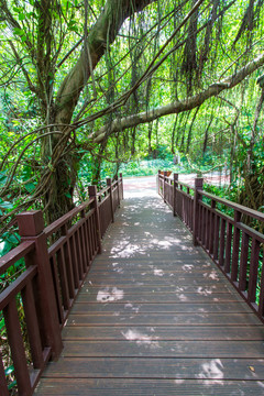 南宁青秀山风景区廊道