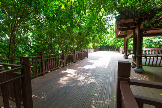 南宁青秀山风景区廊道