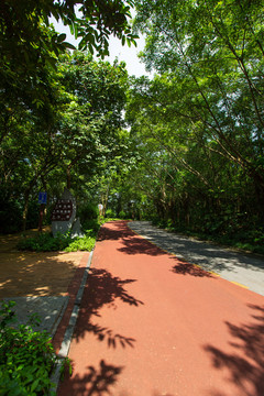 南宁青秀山风景区休闲步道