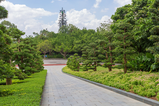 南宁青秀山风景区园林风光