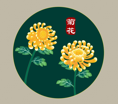 菊花