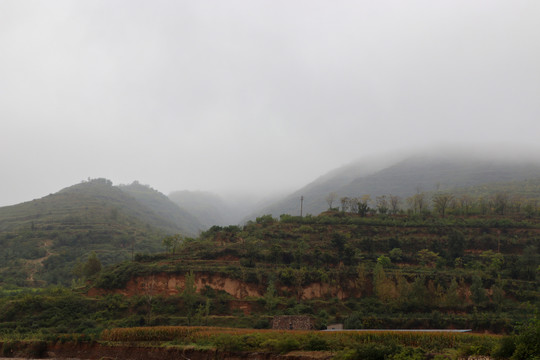 烟雨中的黄土高坡