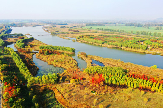 湿地风景