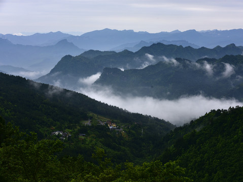 重庆南川金佛山风光