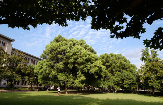 上海交通大学徐汇校区