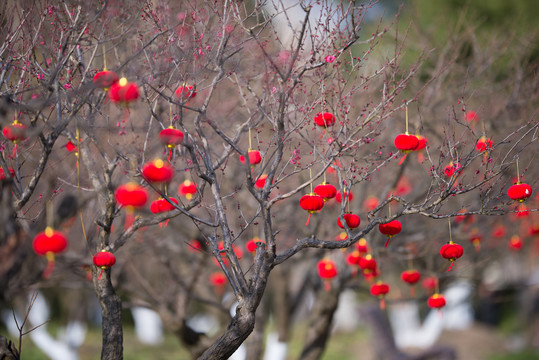 节日元素红灯笼