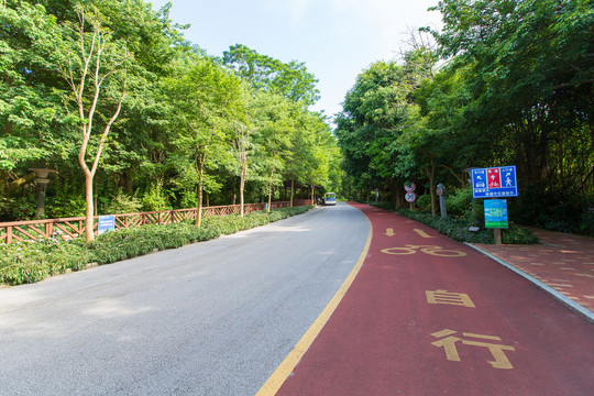 南宁青秀山风景区休闲步道