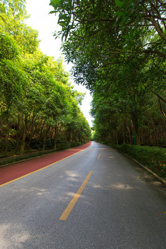 南宁青秀山风景区休闲步道