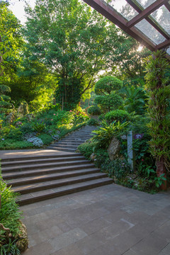 南宁青秀山风景区荫生植物园